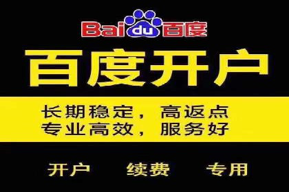 百度竞价SEM深度解析：某行业成功推广经验
